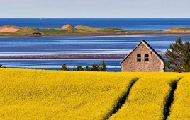 Self Drive Tour - Enchanting Prince Edward Island
