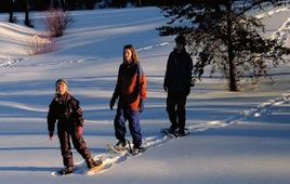 Algonquin Adventure Chalets