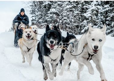 Adventure & Activities - Winter