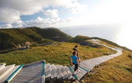 Self Drive Tour - Cabot’s Trail
