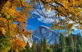 Yosemite and Giant Sequoias Tour