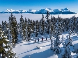 Ancient Cedars Snowshoe Tour, Whistler