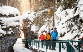 Johnston Canyon Ice Walk, Banff
