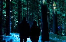 Vallea Lumina - Winter, Whistler