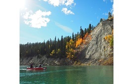 A Yukon Summer Dream