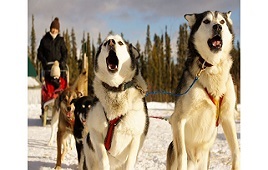 Arctic Winter Heartbeat – Active Winter Adventure