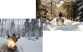 Snowy Adventures in the Laurentides